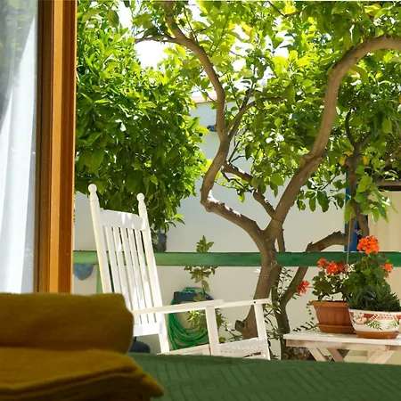 Rosa's House Colorful With Garden Όλμπια